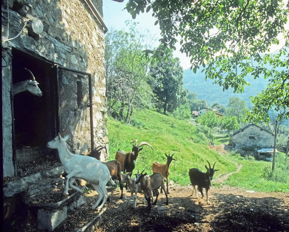 Agriturismo Al Marnich Schignano  Schignano (Como)